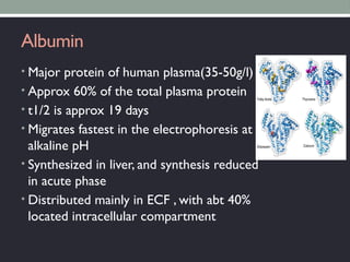 Albumin
• Major protein of human plasma(35-50g/l)
• Approx 60% of the total plasma protein
• t1/2 is approx 19 days
• Migrates fastest in the electrophoresis at
alkaline pH
• Synthesized in liver, and synthesis reduced
in acute phase
• Distributed mainly in ECF , with abt 40%
located intracellular compartment
 