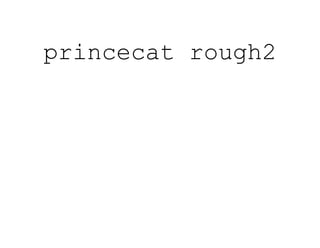 princecat rough2
 