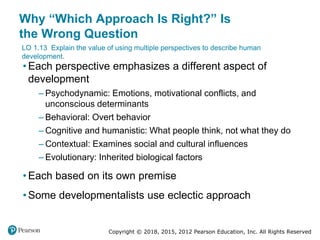 describe theoretical perspectives in relation to cognitive development