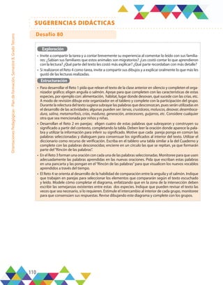 110
SUGERENCIAS DIDÁCTICAS
Orientaciones
Pedagógicas
-
Plan
de
formación,
Semestre
B,
Grado
Tercero
Exploración
•	 Invite a compartir la tarea y a contar brevemente su experiencia al comentar lo leído con sus familia-
res: ¿Sabían sus familiares que estos animales son migratorios? ¿Les costó contar lo que aprendieron
con la lectura? ¿Qué parte del texto les costó más explicar? ¿Qué parte recordaban con más detalle?
•	 Si realizaron el Reto 4 como tarea, invite a compartir sus dibujos y a explicar oralmente lo que más les
gustó de las lecturas realizadas.
Estructuración
•	 Para desarrollar el Reto 1 pida que relean el texto de la clase anterior en silencio y completen el orga-
nizador gráfico; eligen anguila o salmón. Apoye para que completen con las características de estas
especies, por ejemplo con: alimentación, hábitat, lugar donde desovan, qué sucede con las crías, etc.
A modo de revisión dibuje este organizador en el tablero y complete con la participación del grupo.
Durante la relectura del texto sugiera subrayar las palabras que desconozcan, pues serán utilizadas en
el desarrollo de las actividades; algunas pueden ser: larvas, crustáceos, moluscos, desovar, desemboca-
dura, salina, metamorfosis, crías, madurez, generación, antecesores, guijarros, etc. Considere cualquier
otra que sea mencionada por niños y niñas.
•	 Desarrollan el Reto 2 en parejas; eligen cuatro de estas palabras que subrayaron y construyen su
significado a partir del contexto, completando la tabla. Deben leer la oración donde aparece la pala-
bra y utilizar la información para inferir su significado. Motive que cada pareja ponga en común las
palabras seleccionadas y dialoguen para consensuar los significados al interior del texto. Utilizar el
diccionario como recurso de verificación. Escriba en el tablero una tabla similar a la del Cuaderno y
complete con las palabras desconocidas; encierre en un círculo las que se repitan, ya que formarán
parte del“Rincón de las palabras”.
•	 En el Reto 3 forman una oración con cada una de las palabras seleccionadas. Monitoree para que usen
adecuadamente las palabras aprendidas en las nuevas oraciones. Pida que escriban estas palabras
en una pancarta y las pongan en el“Rincón de las palabras”para que visualicen los nuevos vocablos
aprendidos a través del tiempo.
•	 El Reto 4 se orienta al desarrollo de la habilidad de comparación entre la anguila y el salmón. Indique
que trabajen en parejas para seleccionar los elementos que compararán según el texto escuchado
y leído. Modele cómo completar el diagrama, enfatizando que en la zona de la intersección deben
escribir las semejanzas existentes entre estas dos especies. Indique que pueden revisar el texto las
veces que sea necesario, si lo requieren. Estimule el intercambio al interior de cada grupo, monitoree
para que consensúen sus respuestas. Revise dibujando este diagrama y complete con los grupos.
Desafío 80
 