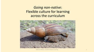 Going non-native:
Flexible culture for learning
across the curriculum

Katherine Watson, Coastline Distance Learning

1

 