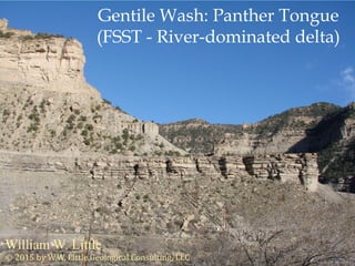 William W. Little
Gentile Wash: Panther Tongue
(FSST - River-dominated delta)
© 2015 by W.W. Little Geological Consulting, LLCDSC06990 Photo by W. W. Little
 