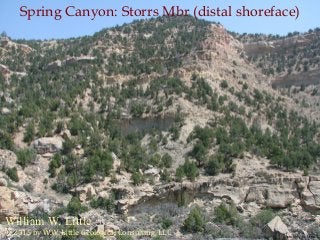 William W. Little
Spring Canyon: Storrs Mbr (distal shoreface)
© 2015 by W.W. Little Geological Consulting, LLC Photo by W. W. Little
 