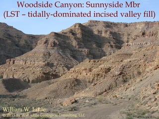 UT/HU/CL 008? 14/04/20 01
Woodside Canyon: Sunnyside Mbr
(LST – tidally-dominated incised valley fill)
Photo by W. W. Little
William W. Little
© 2015 by W.W. Little Geological Consulting, LLC
 