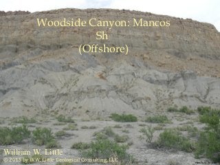 William W. Little
Woodside Canyon: Mancos
Sh
(Offshore)
© 2015 by W.W. Little Geological Consulting, LLC Photo by W. W. Little
 