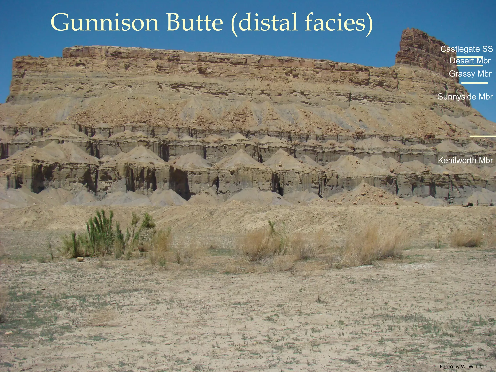 Gunnison Butte (distal facies)
Castlegate SS
Kenilworth Mbr
Grassy Mbr
Sunnyside Mbr
Desert Mbr
Photo by W. W. Little