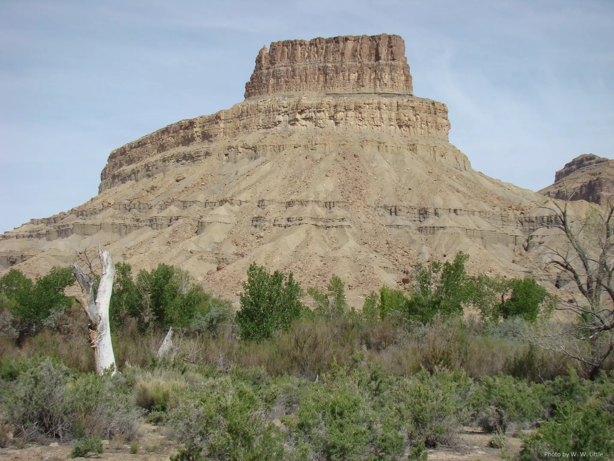 Photo by W. W. Little