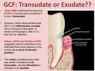 GCF: Transudate or Exudate??
• Brill (1959) confirmed the presence
of GCF in humans and considered it
to be a ‘transudate’.
• However, others demonstrated that
GCF is an inflammatory exudate,
not a continuous transudate. In
strictly normal gingiva, little or no
fluid can be collected.
• Alfano (1974) and Pashley (1976)
suggested that the initial fluid is the
interstitial fluid which appears in the
crevice as a result of osmotic
gradient.
• This initial, proinflammatory fluid
was earlier considered to be
transudate, and on stimulation it
changes to an exudate.
 