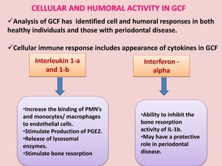 CELLULAR AND HUMORAL ACTIVITY IN GCF
Interleukin 1-a
and 1-b
Interferon -
alpha
•Increase the binding of PMN’s
and monocytes/ macrophages
to endothelial cells.
•Stimulate Production of PGE2.
•Release of lysosomal
enzymes.
•Stimulate bone resorption
•Ability to inhibit the
bone resorption
activity of IL-1b.
•May have a protective
role in periodontal
disease.
Analysis of GCF has identified cell and humoral responses in both
healthy individuals and those with periodontal disease.
Cellular immune response includes appearance of cytokines in GCF
 