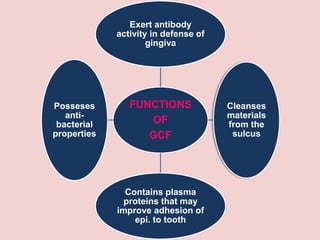 FUNCTIONS
OF
GCF
Exert antibody
activity in defense of
gingiva
Cleanses
materials
from the
sulcus
Contains plasma
proteins that may
improve adhesion of
epi. to tooth
Posseses
anti-
bacterial
properties
 