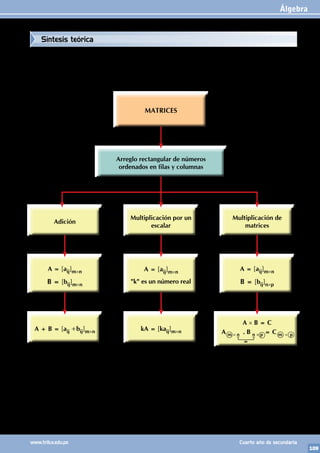 Álgebra
109
www.trilce.edu.pe Cuarto año de secundaria
Adición
Multiplicación por un
escalar
Multiplicación de
matrices
A = [aij]m×n
B = [bij]m×n
A = [aij]m×n
"k" es un número real
A = [aij]m×n
B = [bij]n×p
A + B = [aij +bij]m×n kA = [kaij]m×n
MATRICES
Arreglo rectangular de números
ordenados en filas y columnas
A × B = C
A m × n . B n × p = C m × p
Síntesis teórica
 