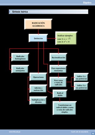 Álgebra
61
www.trilce.edu.pe Cuarto año de secundaria
índice 2 o
sus potencias
Analizar ejemplos:
caso 1: x = 4
caso 2: x2 = 4
índice 3 o
sus potencias
Definición
RADICACIÓN
ALGEBRAICA
Para suma
o resta de
radicales
Para expresiones
monomias
Racionalización
Adición y
sustracción
Operaciones
Multiplicación y
división
Radicales
semejantes
Radicales
homogéneos
Radical
doble
Transforman un
radical doble a suma
o resta de radicales
simples.
Síntesis teórica
 