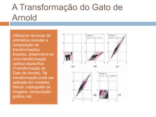 A Transformação do Gato de ArnoldUtilizando técnicas de aritmética modular e composição de transformações lineares, desenvolve-se uma transformação caótica específica (Transformação do Gato de Arnold). Tal transformação pode ser aplicada em modelos físicos, criptografia de imagens, computação gráfica, etc.