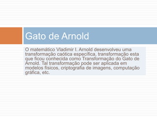 O matemático Vladimir I. Arnold desenvolveu uma transformação caótica específica, transformação esta que ficou conhecida como Transformação do Gato de Arnold. Tal transformação pode ser aplicada em modelos físicos, criptografia de imagens, computação gráfica, etc.Gato de Arnold