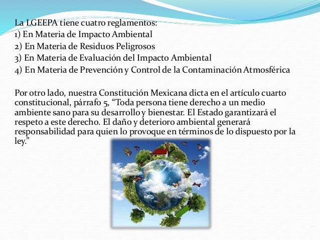 EQUIPO 13 (Lgeepa)