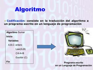 Ejemplo de pseudo-códigoAlgoritmo Número_parVariables Entero: NIniciolea  Nsi N< 0Escriba “El numero debe ser positivo”sinosi  Entero(N/2)*2=NEscriba “el numero leído es par”sinoEscriba ”El numero leído es impar”FinDesarrollar un programa que permita  leer un numero entero positivo y  determinar si es par