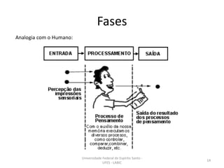 Fases
Analogia com o Humano:

Universidade Federal do Espírito Santo UFES - LABIC

14

 