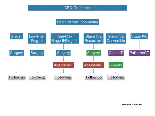 Ces 2016 02 Colorectal Cancer