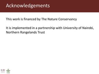 Dynamics of institutional arrangements and their adaptation to socio-economic and ecological challenges in pastoral areas of northern Kenya