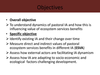 Dynamics of institutional arrangements and their adaptation to socio-economic and ecological challenges in pastoral areas of northern Kenya