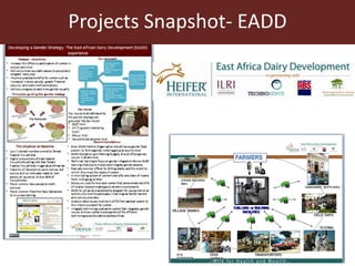 ILRI Smallholders Competitiveness Team: 2013-2014 highlights    