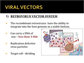 1) RETROVIRUS VECTOR SYSTEM
 The recombinant retroviruses have the ability to
integrate into the host genome in a stable fashion.
 Can carry a DNA of
size – less than 3.4kb
 Replication defective
virus particles
 Target cell - dividing
 