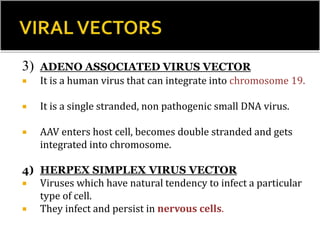 3) ADENO ASSOCIATED VIRUS VECTOR
 It is a human virus that can integrate into chromosome 19.
 It is a single stranded, non pathogenic small DNA virus.
 AAV enters host cell, becomes double stranded and gets
integrated into chromosome.
4) HERPEX SIMPLEX VIRUS VECTOR
 Viruses which have natural tendency to infect a particular
type of cell.
 They infect and persist in nervous cells.
 