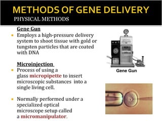 Gene Gun
 Employs a high-pressure delivery
system to shoot tissue with gold or
tungsten particles that are coated
with DNA
Microinjection
 Process of using a
glass micropipette to insert
microscopic substances into a
single living cell.
 Normally performed under a
specialized optical
microscope setup called
a micromanipulator.
PHYSICAL METHODS
 