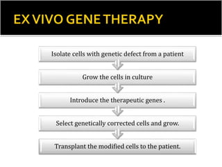 Transplant the modified cells to the patient.
Select genetically corrected cells and grow.
Introduce the therapeutic genes .
Grow the cells in culture
Isolate cells with genetic defect from a patient
 