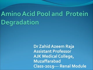 Dr Zahid Azeem Raja
Assistant Professor
AJK Medical College,
Muzaffarabad
Class-2019--- Renal Module
 