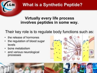 What is a Synthetic Peptide? the release of hormones the regulation of blood sugar  levels bone metabolism and various neurological    processes Virtually every life process involves peptides in some way. Their key role is to regulate body functions such as: 