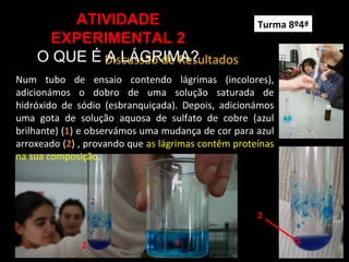 Discussão de Resultados
ATIVIDADE
EXPERIMENTAL 2
O QUE É A LÁGRIMA?
12
Num tubo de ensaio contendo lágrimas (incolores),
adicionámos o dobro de uma solução saturada de
hidróxido de sódio (esbranquiçada). Depois, adicionámos
uma gota de solução aquosa de sulfato de cobre (azul
brilhante) (1) e observámos uma mudança de cor para azul
arroxeado (2) , provando que as lágrimas contêm proteínas
na sua composição.
Turma 8º4ª
2
 