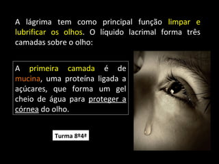 A lágrima tem como principal função limpar e
lubrificar os olhos. O líquido lacrimal forma três
camadas sobre o olho:
A primeira camada é de
mucina, uma proteína ligada a
açúcares, que forma um gel
cheio de água para proteger a
córnea do olho.
Turma 8º4ª
 