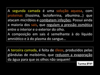A segunda camada é uma solução aquosa, com
proteínas (lisozima, lactoferrina, albumina…) que
atacam micróbios e combatem infeções. Possui ainda
a maioria dos sais, que regulam a pressão osmótica
entre o interior e o exterior do olho.
A composição em sais é semelhante à do líquido
amniótico e à do plasma do sangue…
A terceira camada, é feita de óleos, produzidos pelas
glândulas de meibómio, que reduzem a evaporação
da água para que os olhos não sequem!
Turma 8º4ª
 