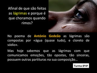 No poema de António Gedeão as lágrimas são
compostas por «água (quase tudo), e cloreto de
sódio».
Mas hoje sabemos que as lágrimas com que
comunicamos emoções, tão opostas, tão sinceras,
possuem outras partituras na sua composição…
Afinal de que são feitas
as lágrimas e porque é
que choramos quando
rimos?
Turma 8º4ª
 