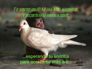 Te sientes solo?. Mira a tu alrededor,  y encontrarás mucha gente... ...esperando tu sonrisa  para acercarse más a ti... 