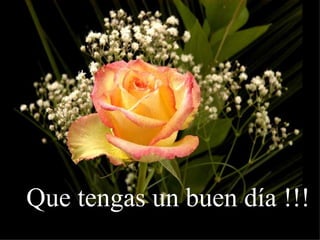 Que tengas un buen día !!! 