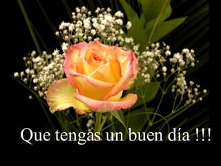 Que tengas un buen día !!! 