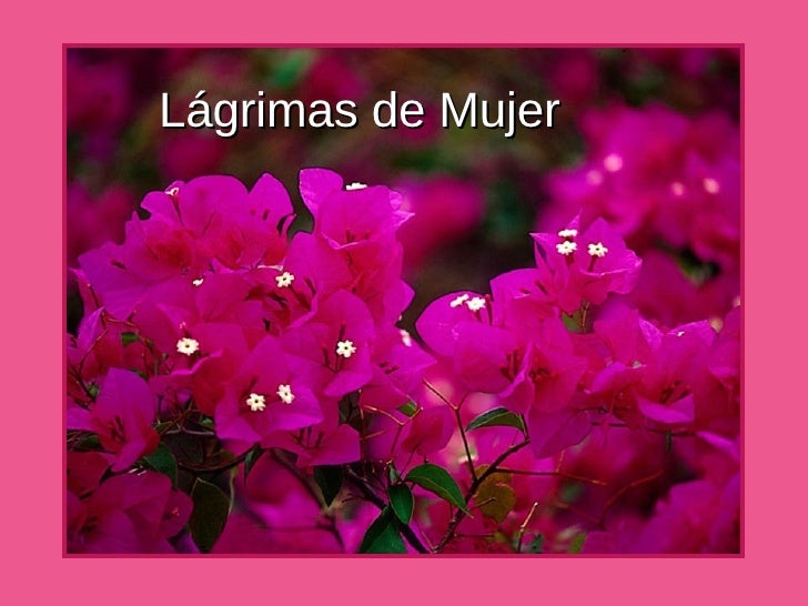 Lágrimas de Mujer 
