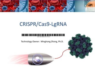 CRISPR/Cas9-LgRNA
Technology Owner: Minghong Zhong, Ph.D.
 