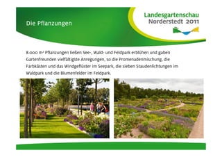 Die Pflanzungen



8.000 m2 Pflanzungen ließen See-, Wald- und Feldpark erblühen und gaben
Gartenfreunden vielfältigste Anregungen, so die Promenadenmischung, die
Farbkästen und das Windgeflüster im Seepark, die sieben Staudenlichtungen im
Waldpark und die Blumenfelder im Feldpark.
 
