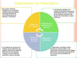 • El diagnóstico serológico debe
basarse en sueros pares. Las
respuestas de anticuerpos se pueden
determinar utilizando pruebas de Nt,
HI y enzimoinmunoanálisis de
adsorción
• Los análisis de reacción en
cadena de la polimerasa se
pueden utilizar para detectar
RNA viral en los lavados
nasales o en los frotis de
secreción nasal y faríngea
• Los lavados nasales son
muestras satisfactorias para el
aislamiento del virus. También
se ha utilizado el líquido del
lavado broncoalveolar y tejido
pulmonar.
• Se pueden detectar
antígenos en las células
nasofaríngeas exfoliadas
mediante pruebas de
inmunofluorescencia
directas o indirectas
Detección
de antígeno
Aislamiento e
identificación
del virus
Diagnostico
serológico
Detección
del acido
nucleico
 