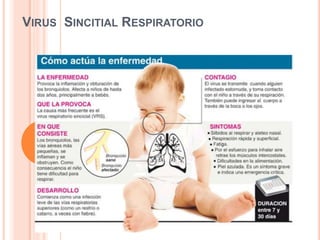 VIRUS SINCITIAL RESPIRATORIO
 