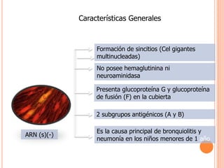 Formación de sincitios (Cel gigantes
multinucleadas)
No posee hemaglutinina ni
neuroaminidasa
2 subgrupos antigénicos (A y B)
Presenta glucoproteína G y glucoproteína
de fusión (F) en la cubierta
Es la causa principal de bronquiolitis y
neumonía en los niños menores de 1 año
ARN (s)(-)
Características Generales
 