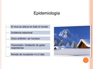 Epidemiología
El virus es ubicuo en todo el mundo
Incidencia estacional
Único anfitrión: ser humano
Transmisión: Inhalación de gotas
respiratorias
Periodo de incubación 4 a 5 días
Epidemiología
 