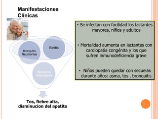 Tos, fiebre alta,
disminucion del apetito
Hipoxemia
Hipercapnia
Bronquitis
Neumonias
Rinitis
• Se infectan con facilidad los lactantes
mayores, niños y adultos
• Mortalidad aumenta en lactantes con
cardiopatía congénita y los que
sufren inmunodeficiencia grave
• Niños pueden quedar con secuelas
durante años: asma, tos , bronquitis
Manifestaciones
Clínicas
 