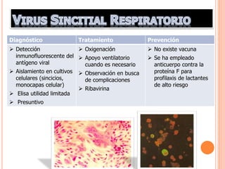 Diagnóstico Tratamiento Prevención
 Detección
inmunofluorescente del
antígeno viral
 Aislamiento en cultivos
celulares (sincicios,
monocapas celular)
 Elisa utilidad limitada
 Presuntivo
 Oxigenación
 Apoyo ventilatorio
cuando es necesario
 Observación en busca
de complicaciones
 Ribavirina
 No existe vacuna
 Se ha empleado
anticuerpo contra la
proteína F para
profilaxis de lactantes
de alto riesgo
 