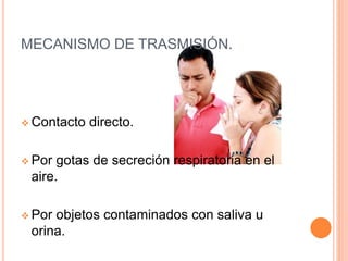 MECANISMO DE TRASMISIÓN.
 Contacto directo.
 Por gotas de secreción respiratoria en el
aire.
 Por objetos contaminados con saliva u
orina.
 