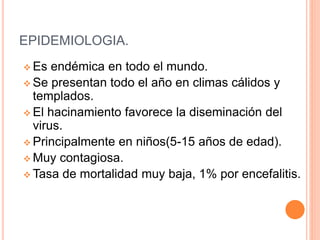 EPIDEMIOLOGIA.
 Es endémica en todo el mundo.
 Se presentan todo el año en climas cálidos y
templados.
 El hacinamiento favorece la diseminación del
virus.
 Principalmente en niños(5-15 años de edad).
 Muy contagiosa.
 Tasa de mortalidad muy baja, 1% por encefalitis.
 