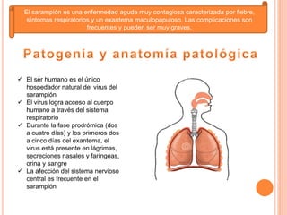 El sarampión es una enfermedad aguda muy contagiosa caracterizada por fiebre,
síntomas respiratorios y un exantema maculopapuloso. Las complicaciones son
frecuentes y pueden ser muy graves.
 El ser humano es el único
hospedador natural del virus del
sarampión
 El virus logra acceso al cuerpo
humano a través del sistema
respiratorio
 Durante la fase prodrómica (dos
a cuatro días) y los primeros dos
a cinco días del exantema, el
virus está presente en lágrimas,
secreciones nasales y faríngeas,
orina y sangre
 La afección del sistema nervioso
central es frecuente en el
sarampión
 